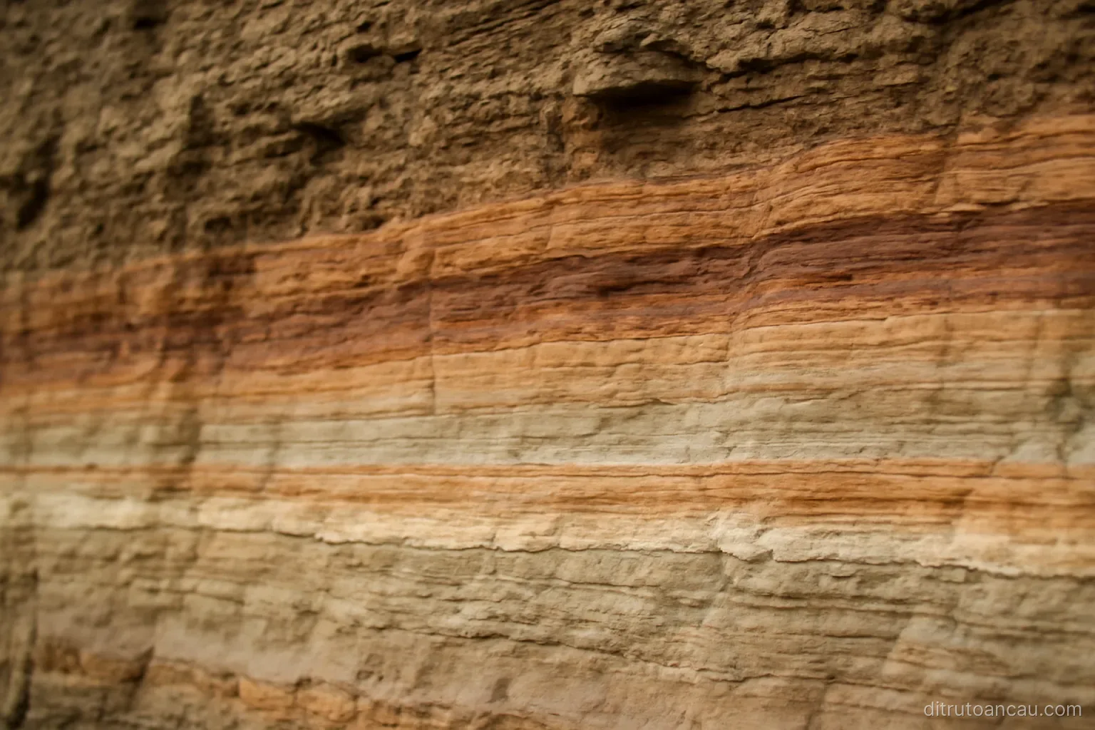 a cross section of layered rock exposed on a cliff face with clearly different bands of colour